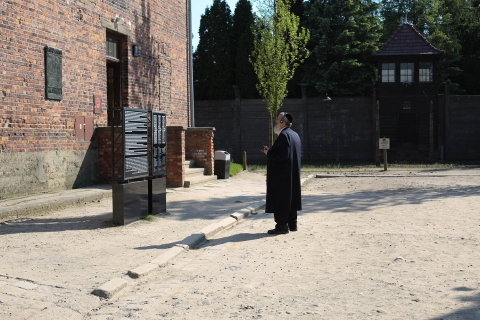 Von Krakau aus: Auschwitz Museum und Wieliczka Salzbergwerk Tour