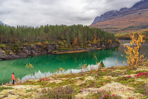 Utforska de norska fjordarna och djurlivet från Abisko.