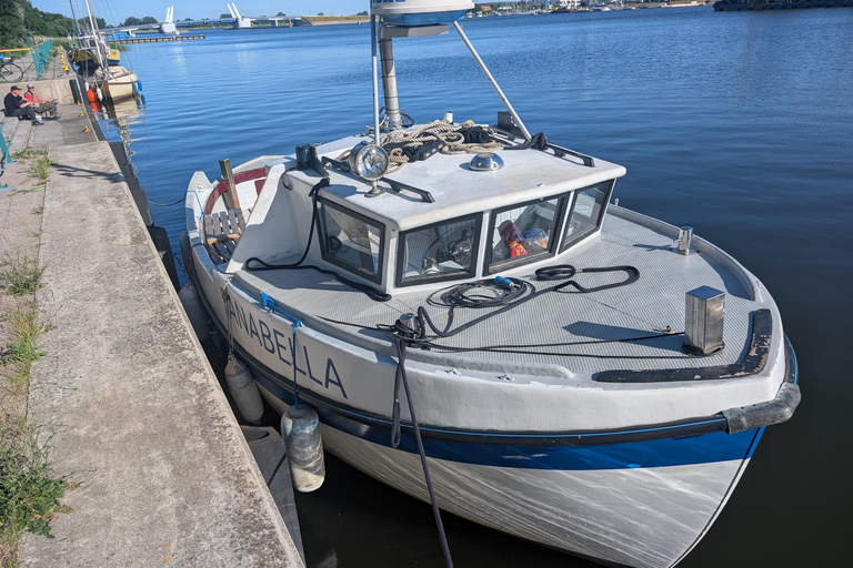 Gdańsk: Seal Watching Boat Tour from Sobieszewo