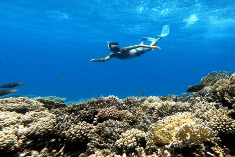 Ab Hurghada: Luxus-Bootsfahrt zur Orange Bay mit MittagessenAb Hurghada