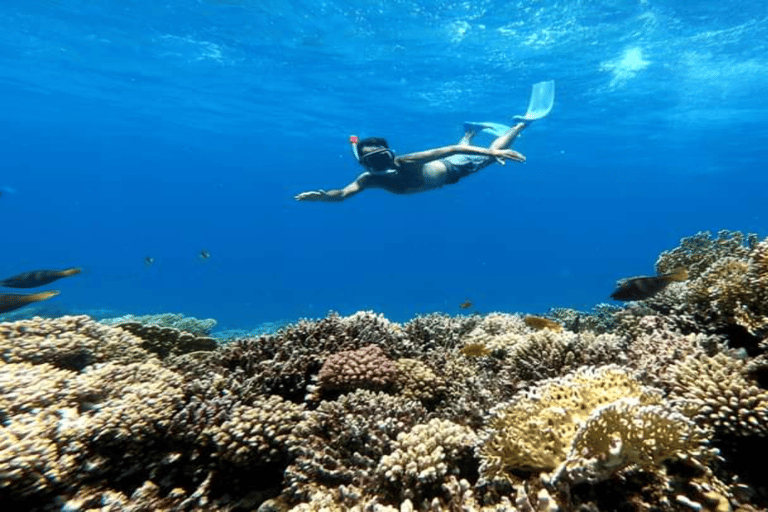 Hurghada: Lyxig kryssningstur till Orange Bay med lunchFrån Hurghada