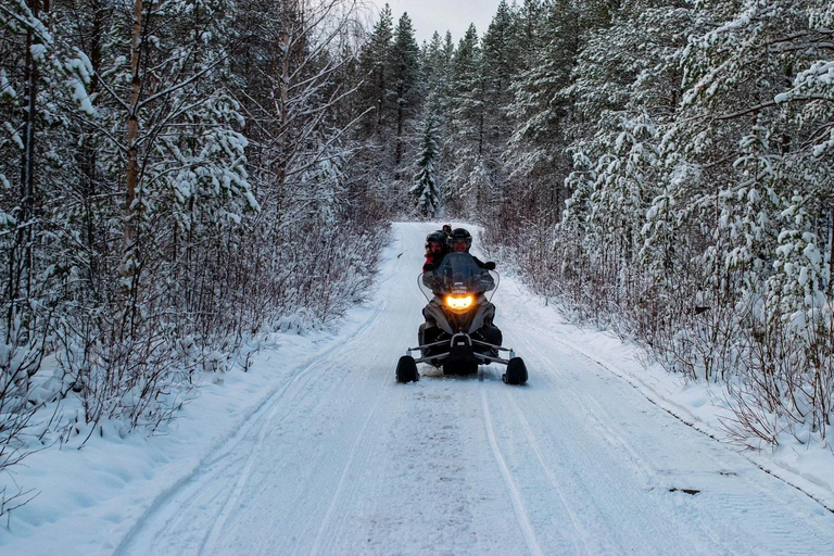 Rovaniemi: Geführte Wildnis-Schneemobil-Safari &amp; Barbecue