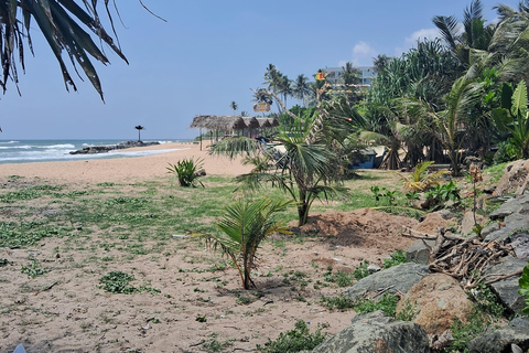 Sri Lanka Private Tour: Abenteuer, Natur, Kultur und mehr!