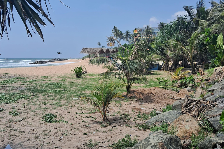 Sri Lanka Private Tour: Abenteuer, Natur, Kultur und mehr!