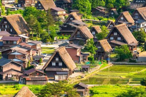 Tokyo: Hida Takayama & Shirakawa-go Day Trip with Guide