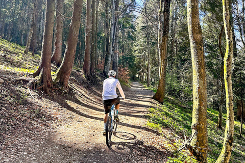 Brasov: E-biketocht naar Poiana Brasov (oude stad &amp; bos)