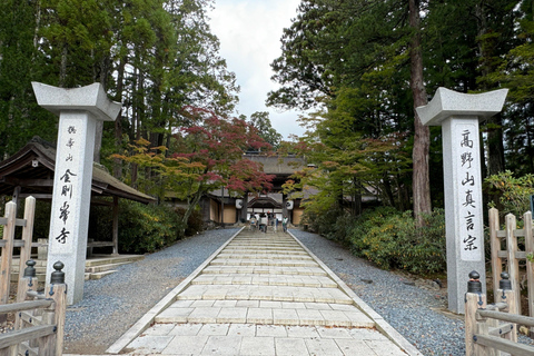 Z Osaki: prywatna wycieczka 1-dniowa z przewodnikiem do Koyasan (miejsce wpisane na listę UNESCO)