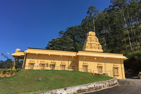 Excursion d'une journée de Kandy à Nuwara Eliya et à la chute d'eau de Ramboda
