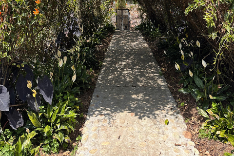 Medellín: 2-Day Jardín and Tapartó Tour with Accommodation