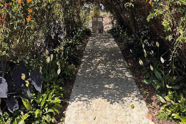 Medellín: 2-Day Jardín and Tapartó Tour with Accommodation