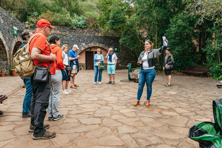 From South Tenerife: La Gomera Island Tour