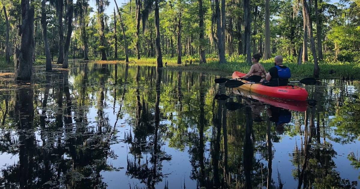 New Orleans: Extended Manchac Swamp Kayak Tour | GetYourGuide