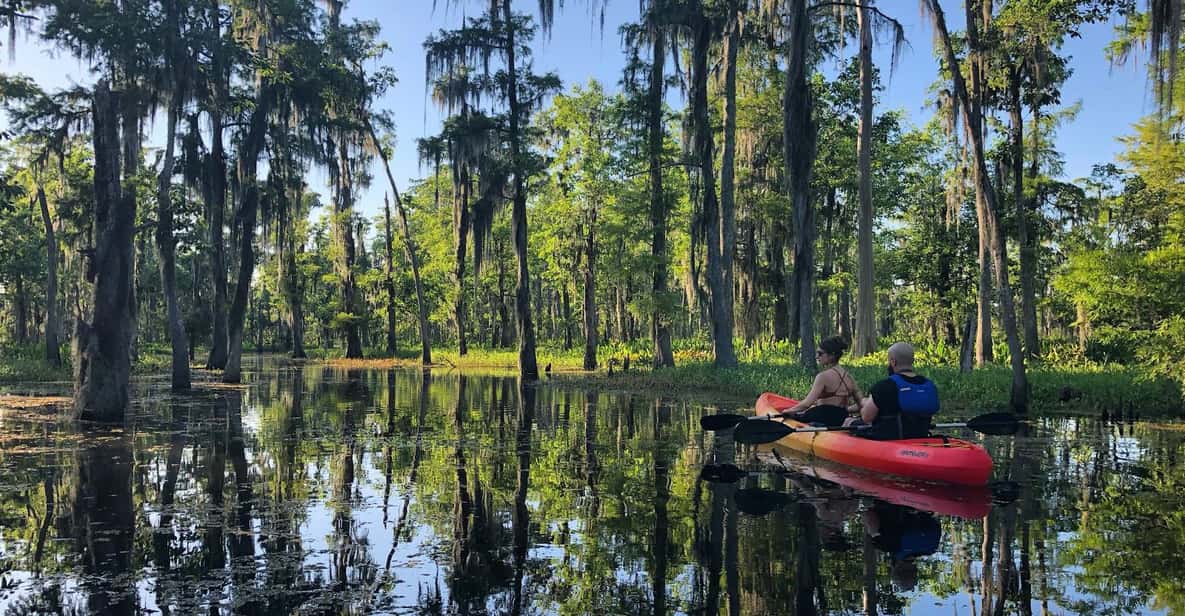 NouvelleOrléans Excursion en kayak dans le marais de Manchac