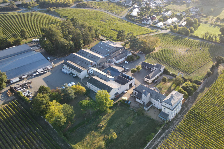 Angers: Guided Wine Tour at Château d'Avrillé with Tasting