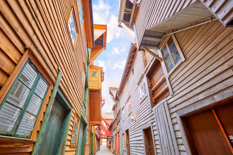 Bergen: tour panoramico a piedi con giro in traghetto