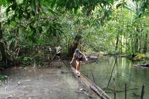 De Khao Sok: passeio no lago Cheow Lan com almoço em PhuTawanOpção 2: Viagem privada ao Lago Cheow Lan com almoço em PhuTawan