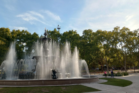 Mendoza: tour di mezza giornata panoramico