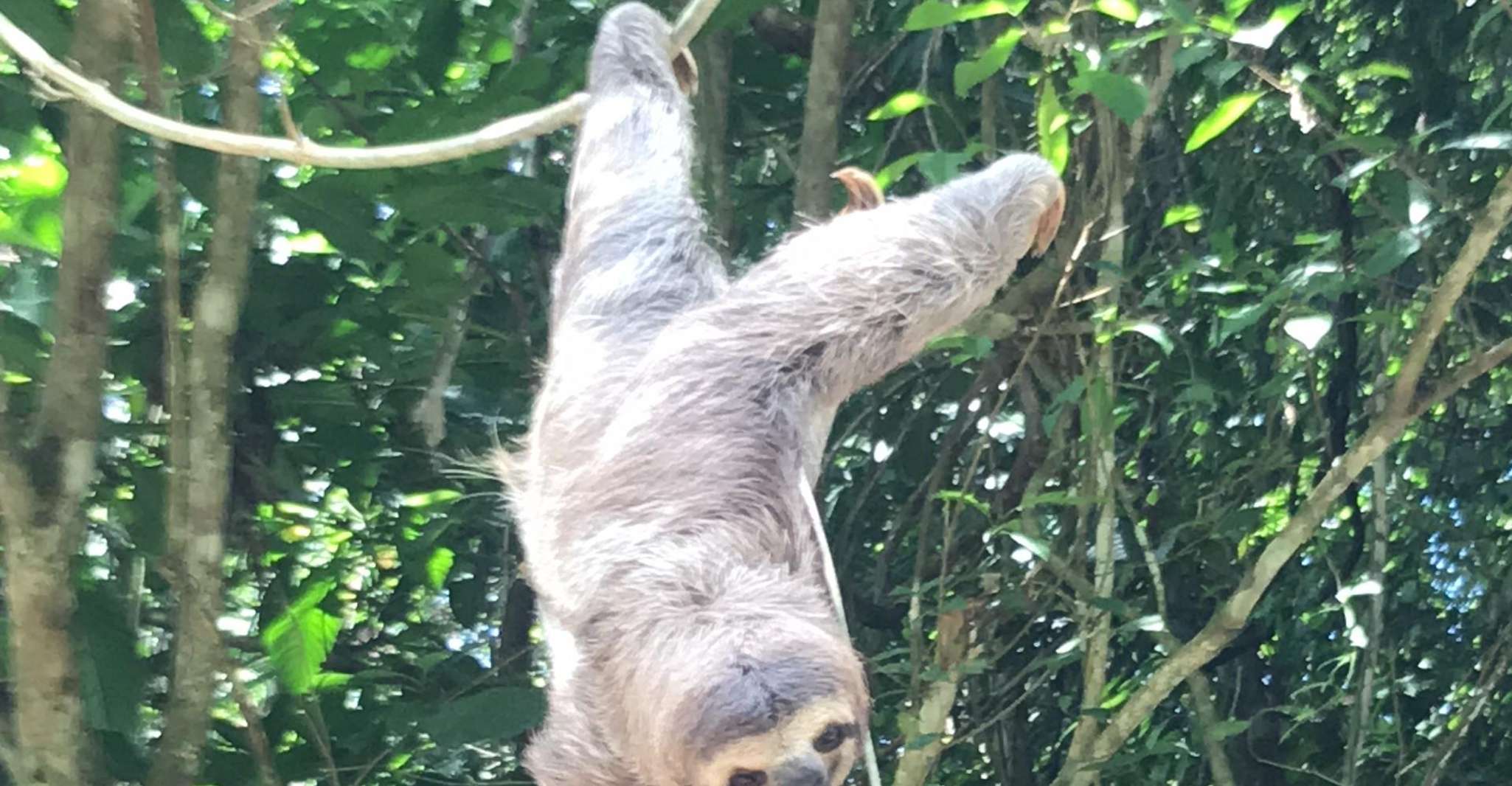 Quepos, Manuel Antonio National Park Guided Tour - Housity