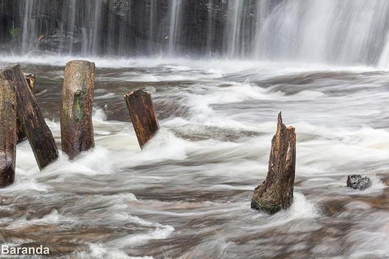 Siem Reap: Kulen Waterfall and 1000 Linga River TourPrivate-Tour: Kulen Waterfall and 1000 Linga River