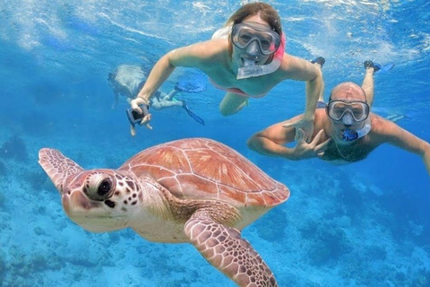 Punta Cana: Viagem de 1 dia à Ilha Catalina com mergulho com snorkel