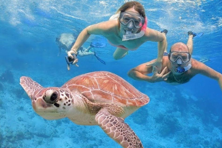 Punta Cana: Excursión de un día a la Isla Catalina con snorkel