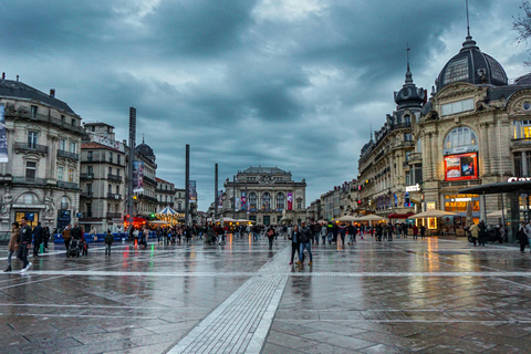 Montpellier: Tour a pie guiado privado