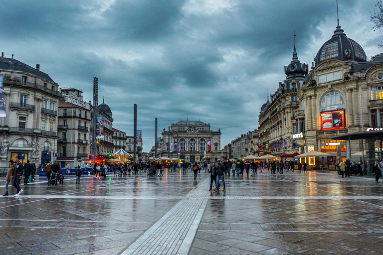 Montpellier: Tour a pie guiado privado