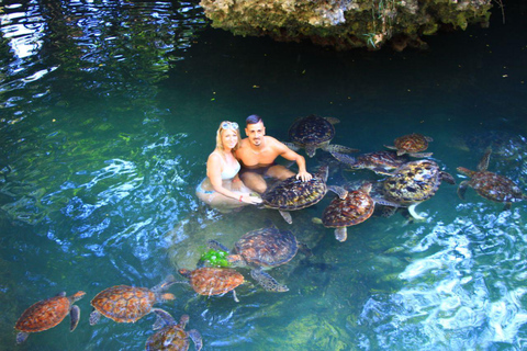 Joazani-bos en Salam-grot met entreegeld