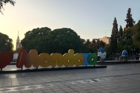 Mendoza: tour di mezza giornata panoramico