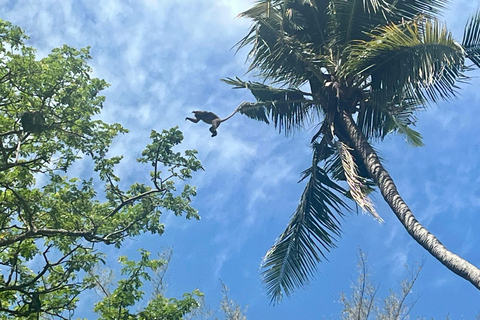 Hike or Boat Trip: Penang National Park & Garden Pick Penang National Park (Trek-In, Boat-Out) & Spice Garden