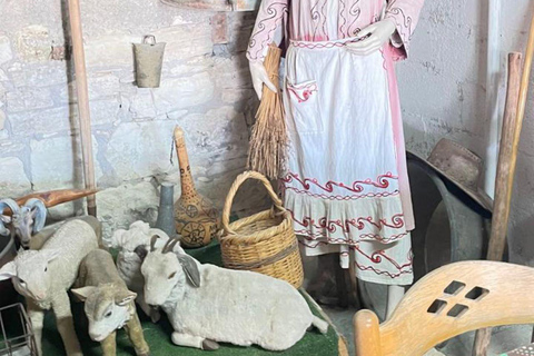 Paphos: Wine and Halloumi Tasting Tour with Pickup