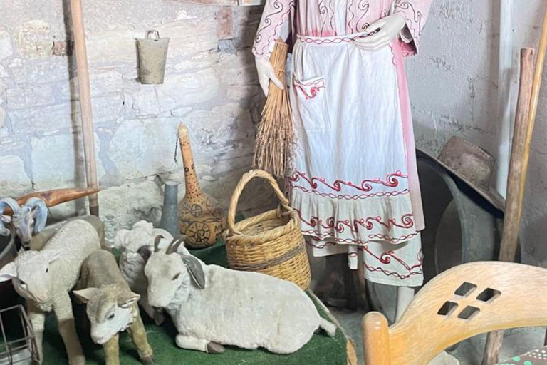 Paphos: Wine and Halloumi Tasting Tour with Pickup