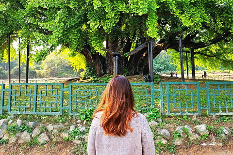 From Seoul: Wonju Nature Day Trip, Ginkgo Tree & Cable Car A. [Spring] Sogeumsan Cable Car & Cherry Blossom Tunnel Tour
