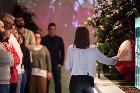 Exclusive tour and coffee experience guided by a true expert