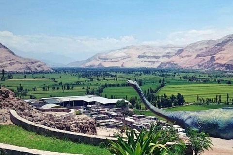 Arequipa: Excursion to Querulpa and Chancaray