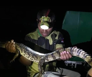 Iquitos: Avventura in Amazzonia di 3 giorni con la natura e la fauna selvatica
