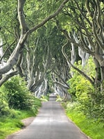 Giant's Causeway Tour Cruise Ship Excursion - Housity