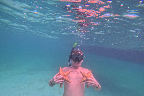 Guadeloupe: Discover the Grand Cul Sac Marin Nature Reserve Daytime boat tour of the Grand Cul Sac Marin Nature Reserve