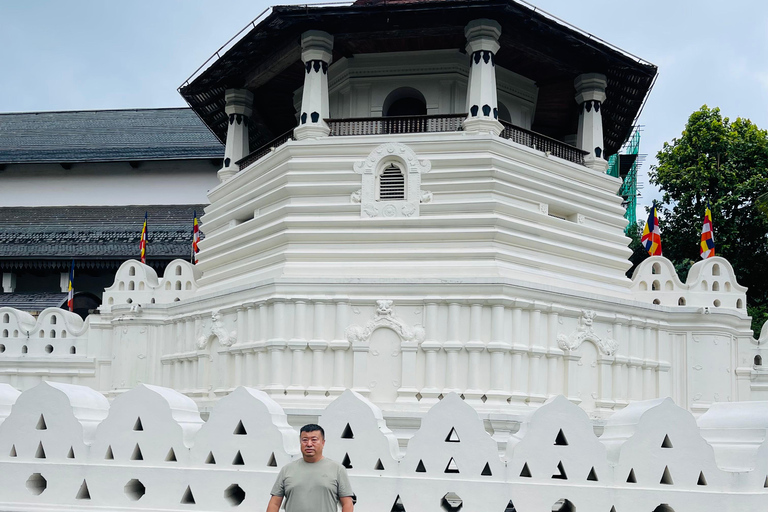 From Hikkaduwa: Kandy Transfer with Hidden Highlands Tour