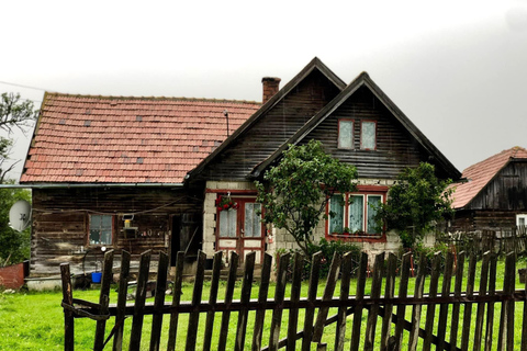 Bucareste: Santuário dos Ursos Pardos e Passeio de Quadriciclo