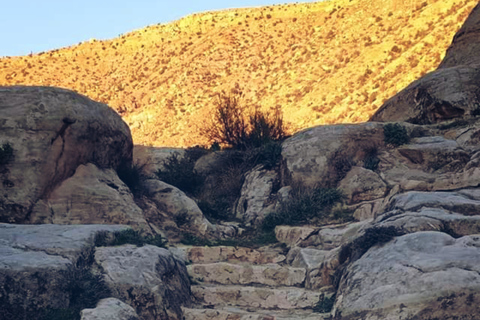 Från Amman Petra, Wadi Rum och Döda havet 3-dagars rundtur