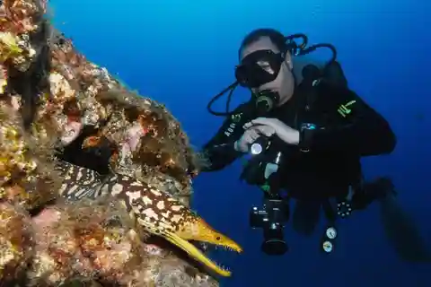 S Tenerife: Guided Boat Dive for Qualified Divers