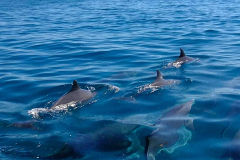 Trou d'Eau Douce: aventura en la isla de la costa sureste