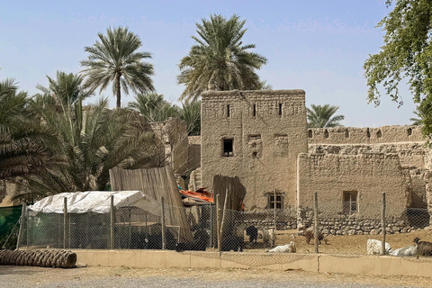 From Muscat: Nizwa & Jebel Akhdar Wonders Adventure Day Trip Nizwa, Birkat Al Mouz & Jebel Akhdar Sunset Experience