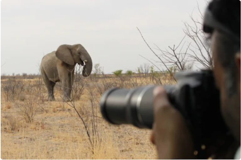 Namibia: explora el cañón más grande de África, las dunas y las salinas.Namibia: explora el cañón más grande de África, las dunas y las salinas