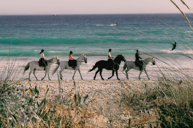 Noord, Aruba: Beach Horseback Ride at Sunrise or Sunset Noord, Aruba: Sunset Beach Horseback Ride