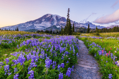 Hiking | Washington (State) things to do in Lake Wenatchee