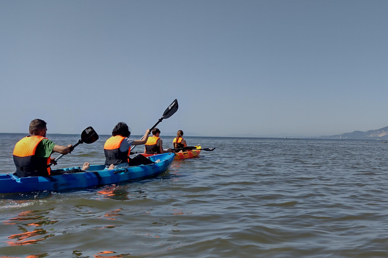 Ebro-delta: zelfgeleide route naar de Torre de Sant Joan