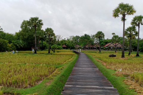 From Siem Reap: Private Customizable Tour with Guide 1-Day Private Tour
