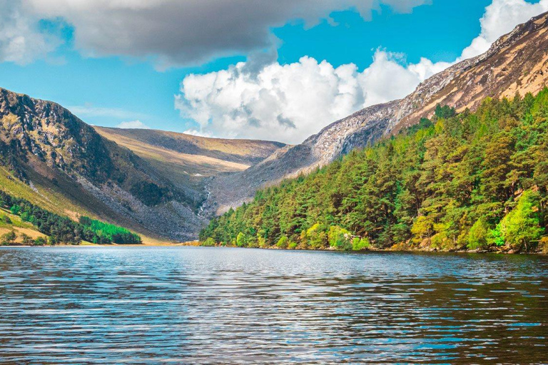 (Navidad por la mañana) Excursión de medio día a Glendalough desde DublínPunto de encuentro: Calle O&#039;Connell